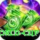 2015 world cup Premium Edition v5.0.6