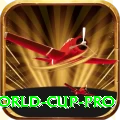 2019 world cup Gaming Premium