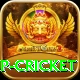 2022 world cup cricket Deluxe Edition v5.7.7