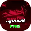 9pkr Deluxe Pro vv3.1.8