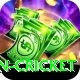 afghanistan cricket VIP v4.4.0