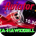 antigua hawksbill Pro v1.1.8