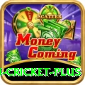 australian cricket Prime Jackpot