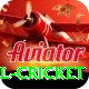 bbl cricket VIP Edition v2.4.6