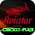 bbl cricket Casino Official v4.5.8