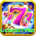 bbl cricket Slots Plus v3.3.9