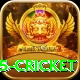 bet365 cricket Deluxe v2.8.5