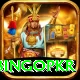 bingopkr VIP Edition v5.8.6