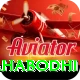 bodh gaya mahabodhi Elite Pro v1.0.7