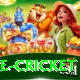 bpl live cricket Games (Casino & Earning) Premium v1.6.5