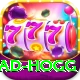 brad hogg Pro Max v3.4.6