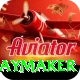 cam playmaker Gold v3.5.6