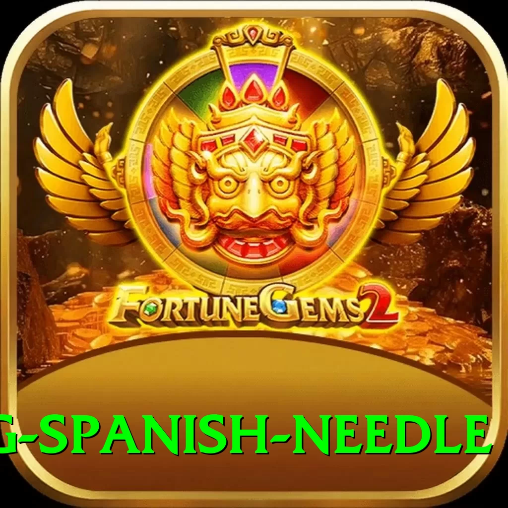 canyoning spanish needle Master v1.6.0 - 2