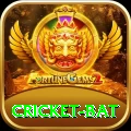 cricket bat Max Pro v2.7.0