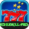 cricket match schedule APK Mega v3.4.8