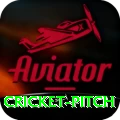 cricket pitch Turbo v4.6.6