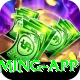 Daulat777 VIP Gaming App