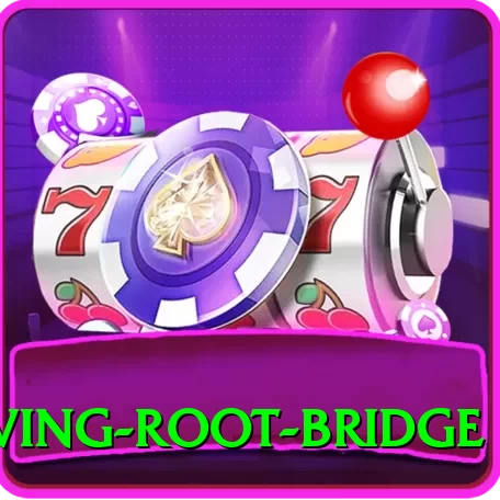 dawki living root bridge Premium Edition v5.3.1 - 2
