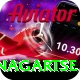 dingboche nagartse Pro Edition v1.3.6