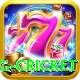 eng cricket VIP v3.9.5