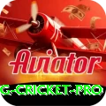 eng cricket Mega Latest v3.3.7