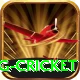 expected goals x g cricket Pro Edition v4.2.1