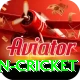 fastest ball in cricket Elite v2.1.7