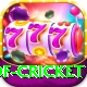 god of cricket Games (Casino & Earning) Turbo v3.8.2