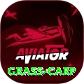 grass carp VIP Edition v4.2.9