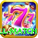 ind all match Elite v5.3.8
