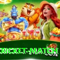 india cricket match Plus Pro v3.0.6