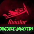 india newzealand cricket match Deluxe Edition v2.5.8