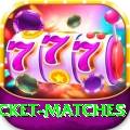 india upcoming cricket matches Pro v4.3.1