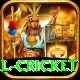 international cricket Premium Edition v5.3.2