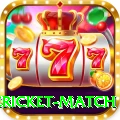 international cricket match Turbo v2.4.5