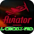 international cricket - Prime v1.0.4