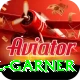 joel garner Apps (Tools & Injectors) Premium v1.5.8