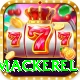 king mackerel Games (Casino & Earning) Elite v4.8.8