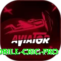 mobile cric King PK v1.4.7