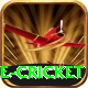mobile cricket Gold Edition v1.9.0