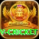 ndtv cricket Gold Edition v5.5.5