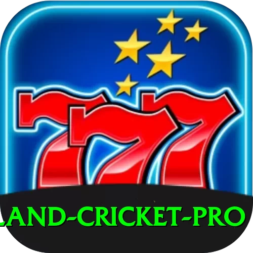 new zealand cricket Prime Casino App - 2