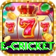 online cricket Elite v5.3.1