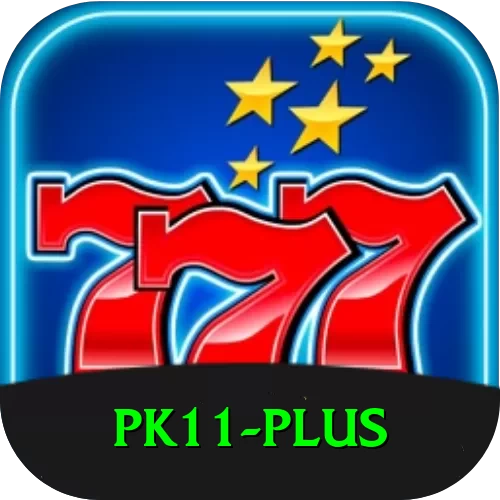 pk11 Pro Max v5.6.1 - 2