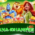 pothana dhampus Pro1 v1.8.3