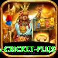 sa cricket Mega Gaming App