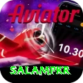 SalamPKR Apps (Tools & Injectors) Max v4.8.5