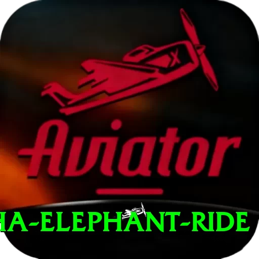sauraha elephant ride VIP v1.9.0 - 2