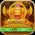 seti gorge bridge Pro v1.5.7