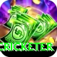 shahrukh khan cricketer Premium v5.1.4